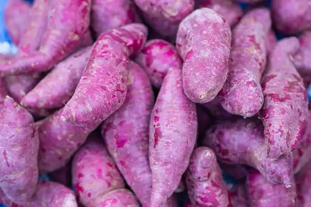 Can Purple Sweet Potato Extract Improve Nutrient Stability?